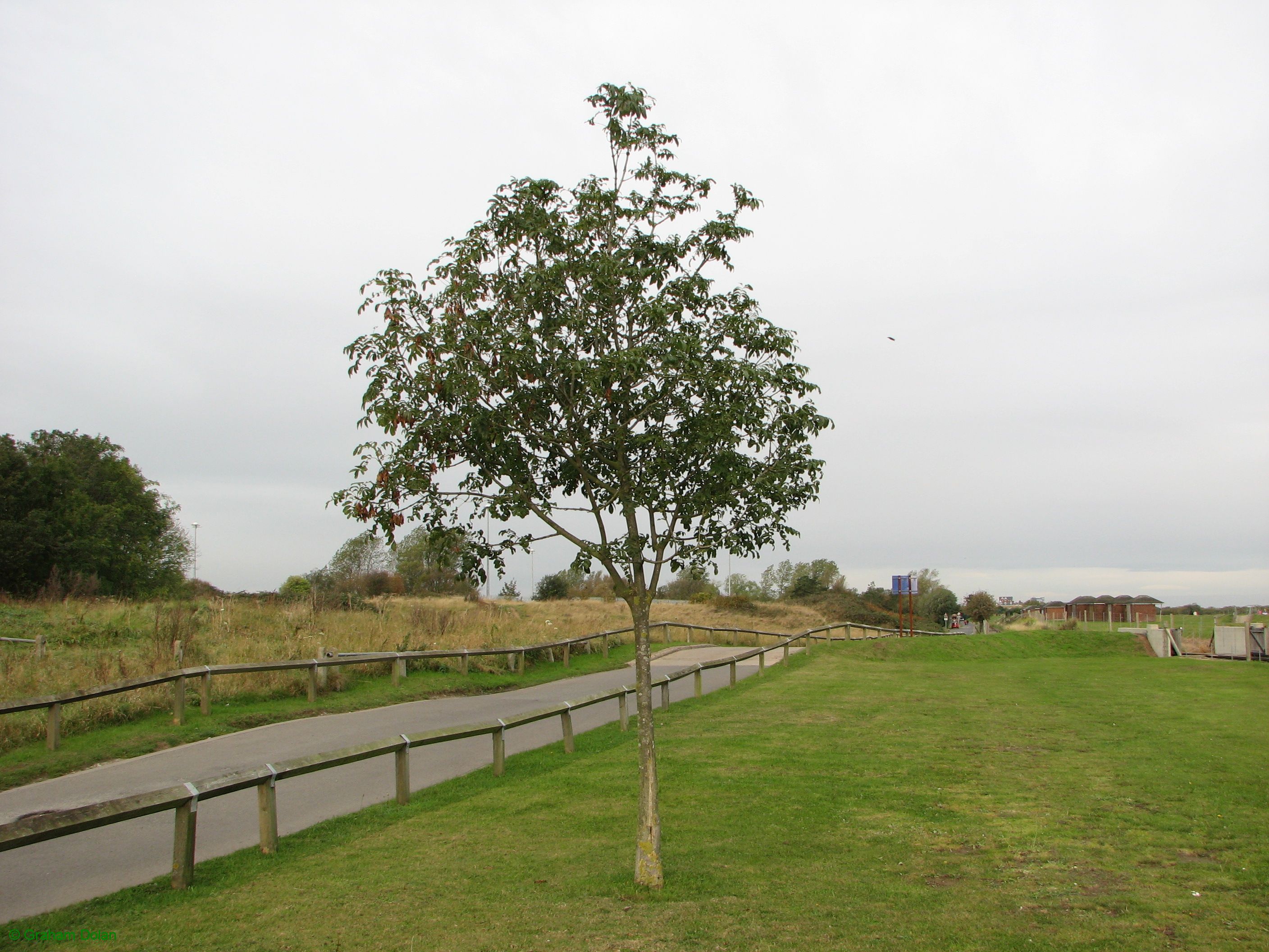 Greenwich Meridian Marker; England; Lincolnshire; Cleethorpes